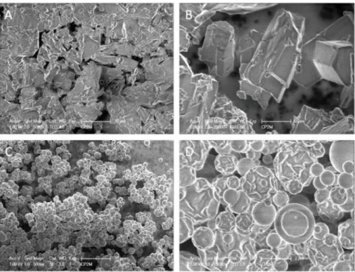 Fig. 3. Scanning electron micrographs at 1 kV of freeze-dried (A, B) and spray-dried (C, D) HT + β-CD powders