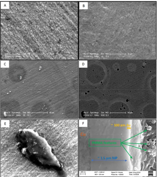 Figure 5.  (a) SE SEM image of C0, (b) SE SEM image of C100, (c) SE SEM image of C100, (d) BSE SEM image of C100, (e) SE  SEM image of C100 (10kV electron beam power), and (f) cross-section BSE SEM image of C100 