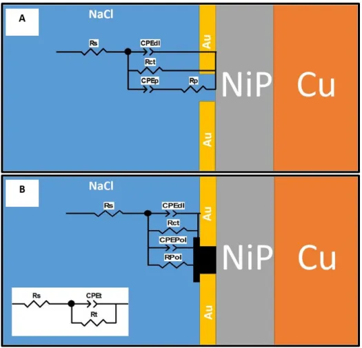 Figure 7. Proposed equivalent circuits to fit the EIS data of (a) C0, and (b) PMMA modified samples (C5-C100)