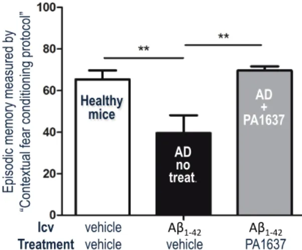 Figure 6.  Episodic memory of non-transgenic AD mice treated with  PA1637 at 25 mg/kg by oral route (grey bar), compared to healthy  control mice and untreated AD mice