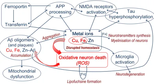 Figure 7.  Schematic description of some of the metal-dependent metabolic pathways  involved in AD pathogenesis