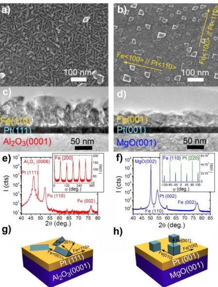 Figure  6.  SEM  micrographs  of  Fe  nanostructures  grown  on  (a)  Pt(111)  and  (b)  Pt(001)  films,  respectively (Fe/LA/HDA: 1/2/1, [Fe]=2.5mM, 24h, 150°C, solvent: anisole)