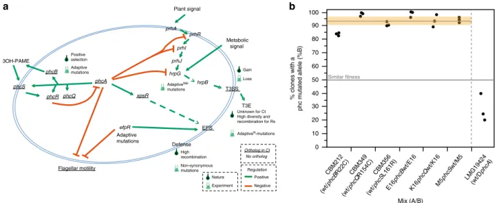 Fig. 4 Virulence factors and regulatory pathways of R. solanacearum and their evolution in the evolution experiment