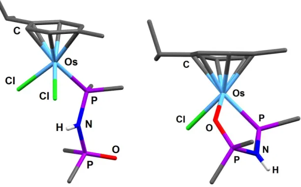 Table  3.  31 P  NMR  data  and  characteristic structural  parameters  of  free  DPPA-O  and  Group  8  metal  complexes 37-42