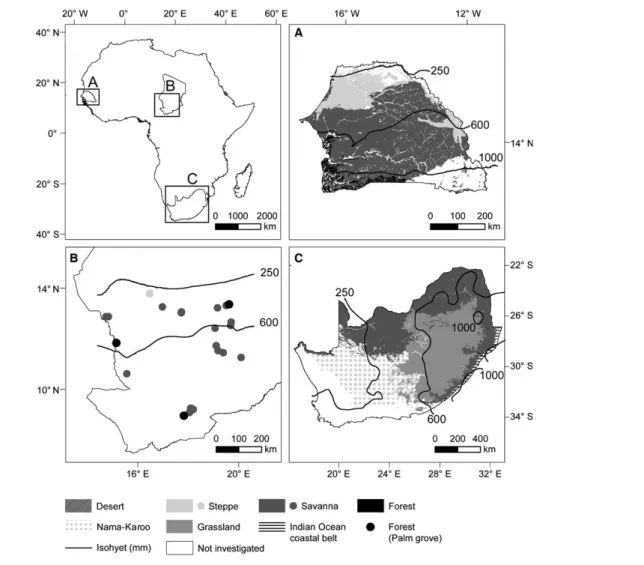 FIGURE 1. Location of the three African study areas (top left box), spatial distribution of biomes, and mean annual precipitation (MAP; Hijmans et al