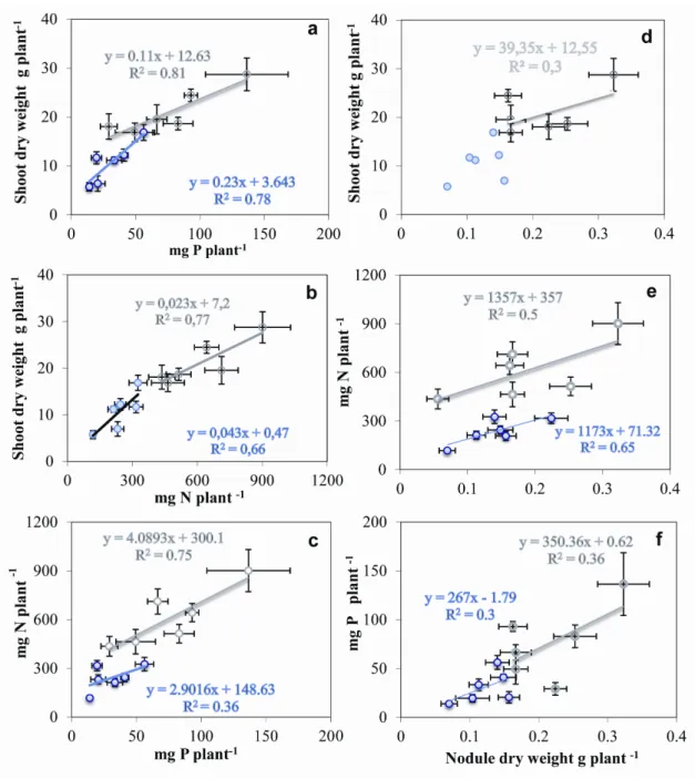 Figure 6. Interactive influence of P, N and nodulation on shoot growth of six common  bean genotypes grown under sufficient P (empty square) versus low P (filled square) soil