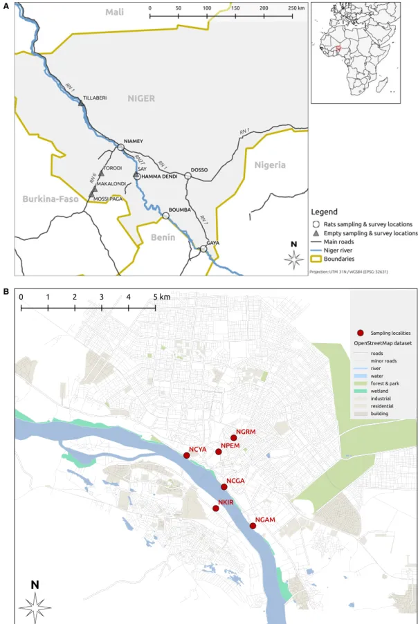 Figure 1. Localities where interviews and trapping were conducted at the scale of south-western Niger (A) and Niamey city (B)