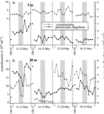Fig. 6. Evolution of bacterial production (expressed in thymi- thymi-dine incorporation rates) and ectoaminopeptidase turnover rate at (a) 5 m and (b) 30 m