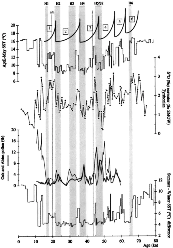 Figure 7.  Plot of (a) the long-term  cooling  cycles  from 1 to 6 (see text), (b) April-May SST (degrees  celsius),  (c)Sw (%o  SMOW), (d) Oak (shaded  line) and fir tree (solid thin line) pollen abundance  (per cent)