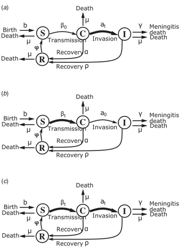 Fig. 1. Flow chart of state progression of individuals between the different epidemio- epidemio-logical classes of the SCIRS models