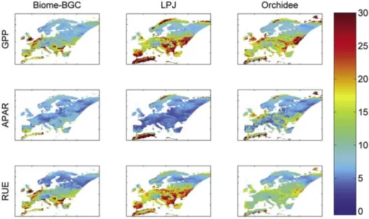 Figure 5. Coefficient of variation (standard deviation divided by mean, in percent) of GPP, absorbed photosynthetic active radiation (APAR), and radiation use efficiency (RUE) for Biome-BGC, LPJ, and Orchidee (1981 – 2000)