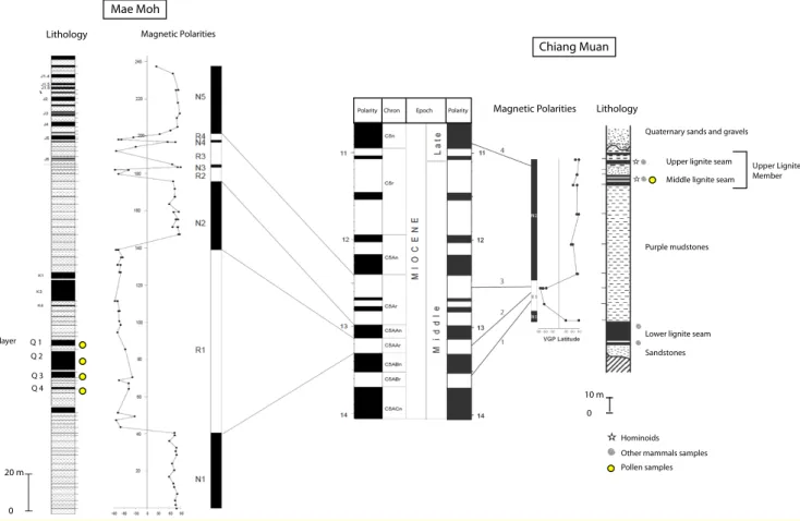 Fig. 2. Lithological information, magnetostratigraphy and stratigraphic control of Mae Moh and Chiang Muan pollen samples (after Bennami et al., 2002, 2004).