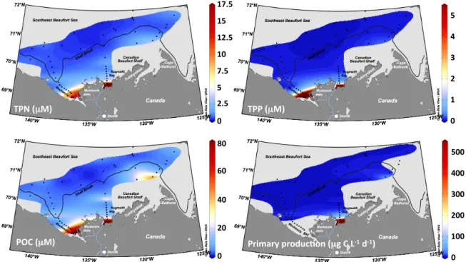 Figure 6. Distributions of (a) TPN, (b) TPP, (c) POC, and (d) primary production at the surface in the coastal Beaufort Sea during July and August 2009.