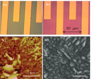 Figure 2 exhibits also the thermal variation of the real part of the complex conductivity (r 0 ) at 10 mHz