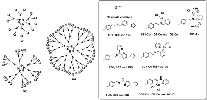 Figure 3. Two-dimensional schematic general structure of multivalent phosphorus dendrimers  prepared