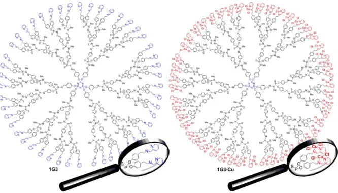 Figure 4. Two-dimensional chemical structure of plain 1G3 and 1G3-Cu dendrimers. 