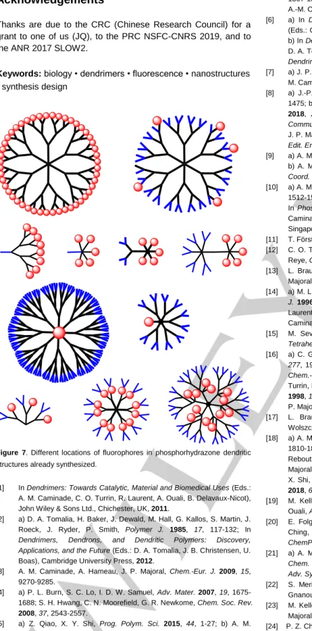 Figure  7.  Different  locations  of  fluorophores  in  phosphorhydrazone  dendritic  structures already synthesized