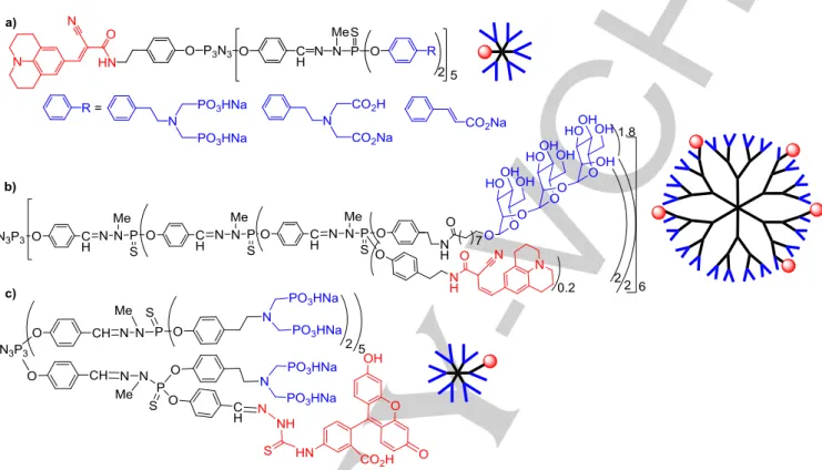 Figure  5.  a)  Julolidine  linked  to  the  core  of  a  dendron  bearing  different  water-solubilizing  terminal  functions;  b)  stochastic  functionalization  of  a  carbohydrate  dendrimer by julolidine; c) stochastic functionalization of an azabisph
