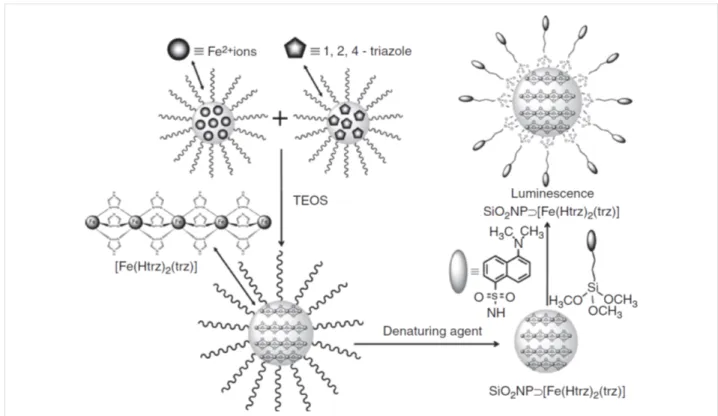 Figure 3: a) Schematic overview of the formation of the nanocomposite, gold-decorated SCO–SiO 2  nanoparticles