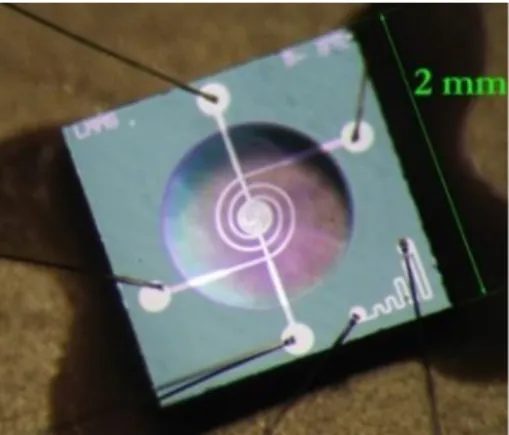 Fig. 1 Image of the gas sensor silicon platform (LAAS). 