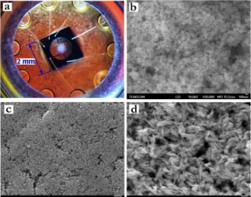 Fig. 5 (a) Picture of a sensor covered with ZnO sensitive layer and SEM-FEG images of   (b) ZnO CL, (c) ZnO NP, and (d) ZnO NR sensitive layers after in-situ thermal treatment up to 550°C