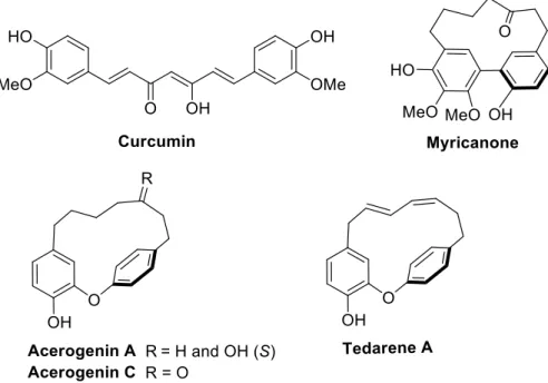 Figure 1. Representative diarylheptanoid natural products. 