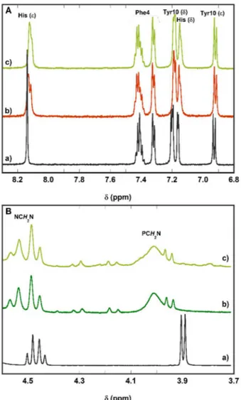 Figure 2.  1 H-NMR spectra at selected regions: panel A, aromatic region of a) Aβ 16 , b) Zn(Aβ 16 ) complex, c) Cu II ,Zn II (Aβ 16 ) + 6 equivalent of PTA; panel B, methylene  protons of a) PTA, b) Cu(II) + 6 equivalents of PTA, c) Cu II ,Zn II (Aβ 16 ) 