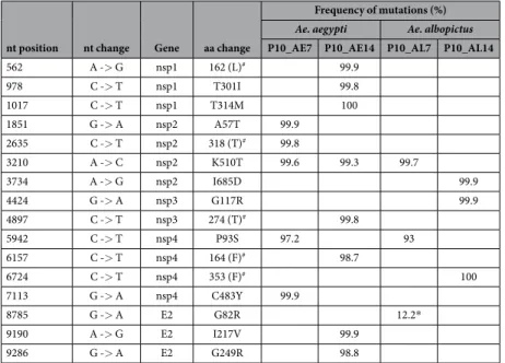 Table 1.  Population genetic diversity in the four selected CHIKV strains. nt, nucleotide; aa, amino-acid;  # no  amino-acid change, synonymous mutation; * minority variant not found in the consensus sequence; P10_AE7,  10 th  passage between HFF cells and