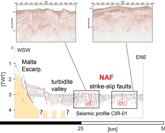 Figure 5. Seismic line CIR-01. Line drawing showing continental basement (orange shading, dashed when uncertain); and major interpreted faults (red lines with sense of motion)