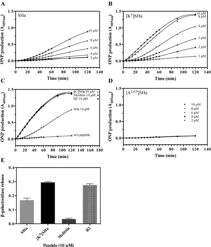 Fig 4. Temporin-induced membrane permeabilization of E. coli ML-35p. Bacteria were incubated with different concentrations of SHa (A) or [K 3 ]SHa (B)