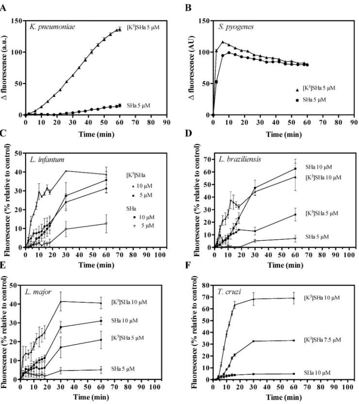 Fig 5. Temporin-induced SYTOX Green (SG) influx into the bacteria K. pneumoniae ATCC 13883 (A) and S