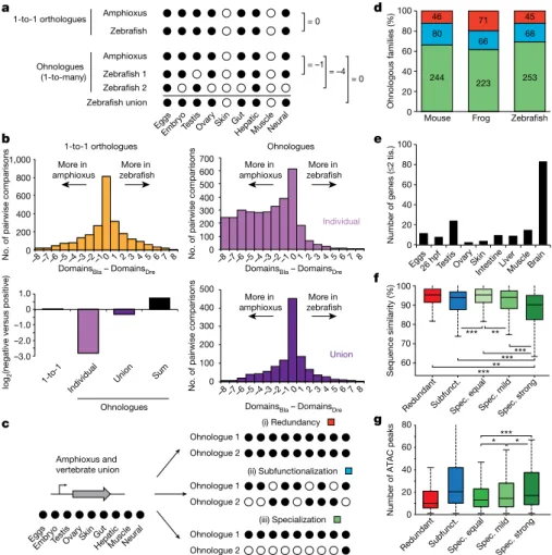 Fig. 6 | Expression specialization is the main fate after WGD.  