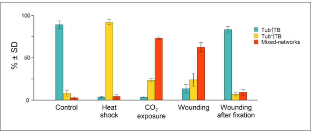 Figure 3. Quantitative analysis of the different TB morphs induced under stress conditions