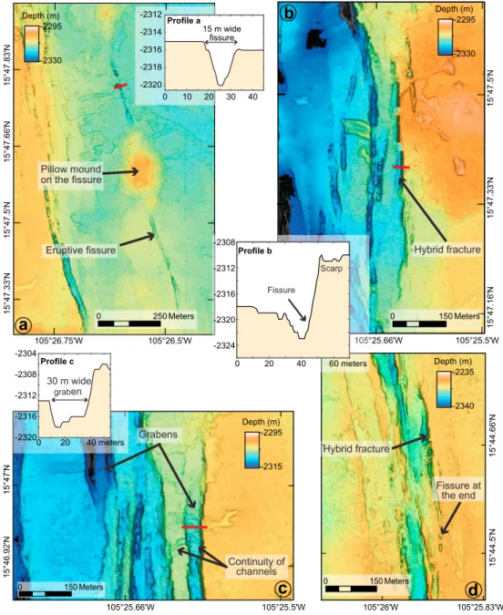 Figure 3. (a through d) Sample microbathymetric maps illustrating the different fracture geometry