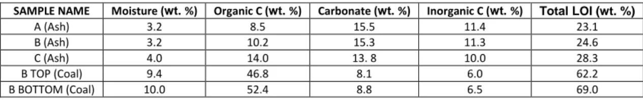 Table 1. Carbon content and loss on ignition of the studied ash and coal samples 