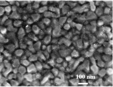 Figure 2 shows a typical FEG-SEM image of the deposit of AgNPs obtained by the direct hydrogenolysis of the [Ag(Amd)] organometallic precursor on the gold electrode in liquid phase.