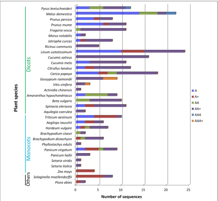 FIGURE 3 | Different types of domain architectures in studied plant genomes. A, single amaranthin domain proteins; A+, proteins with single amaranthin domain linked with another protein domain; AA, double amaranthin domain proteins; AA+, proteins with doub