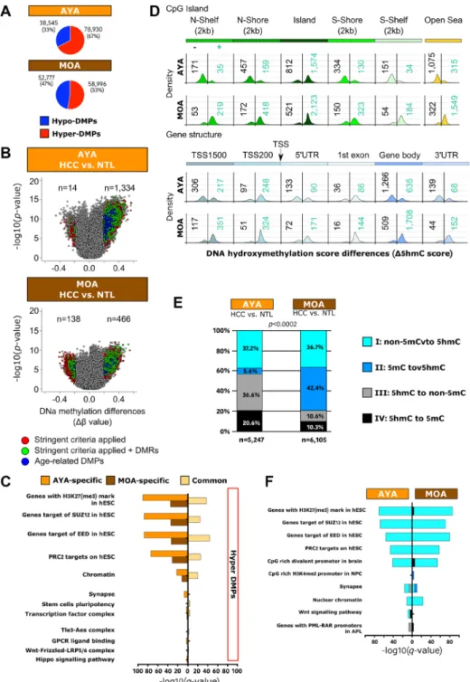 Figure 4: Peruvian HCC is associated with a genome-wide hypermethylation pattern, and DNA hydroxymethylation  represents a relevant epigenetic mark in Peruvian HCC
