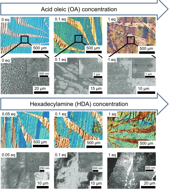 Figure 5: Optical and SEM images of the deposits obtained by the dip coating method at the optimized speed ( v = 13 µ m.s − 1 )