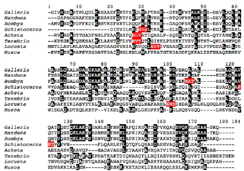 Figure  4.  Multiple  alignment  of  the  apolipophorin-III  protein  from  the  edible  insects  Galleria  mellonella,  Manduca  sexta,  Bombyx  mori,  Schistocerca  gregaria,  Acheta  domesticus,  Tenebrio  molitor, Locusta migratoria, and Musca domestic