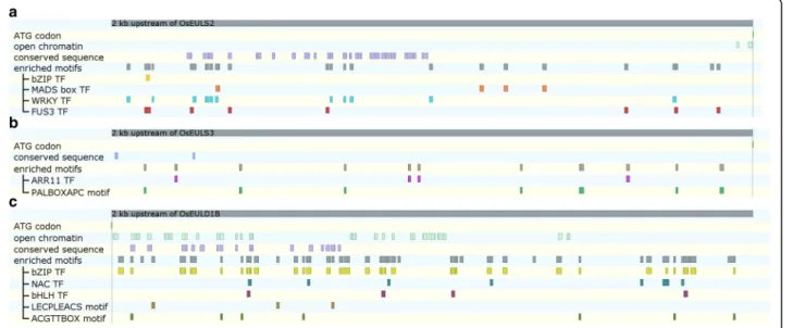 Table S4). Furthermore, binding sites for two bZIP tran- tran-scription factors from Arabidopsis (bZIP19 and bZIP23) were identified