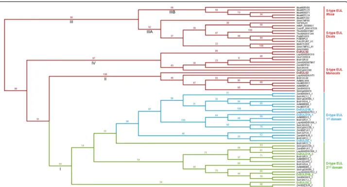 Fig. 8 Phylogenetic tree for all EUL domains retrieved from 9 monocot and 8 dicot species