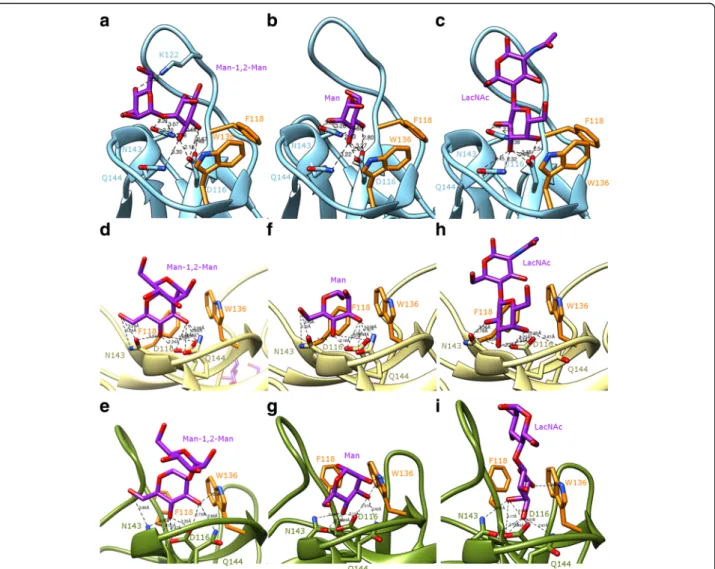 Fig. 4 Binding models of selected ligands in the carbohydrate-binding site of OsEULS2 and OsEULD1A