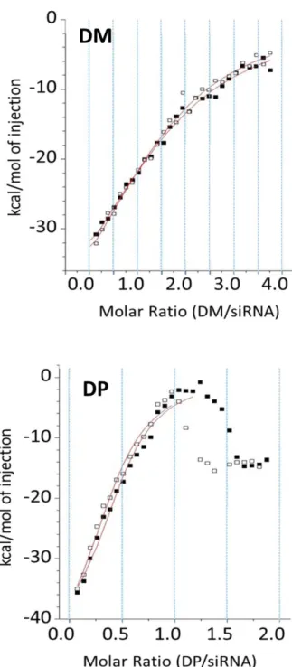 Figure 2. Two experiment repetitions (black and white squares) are  reported for both DM-siRNA (top panel) and DP- DP-siRNA (bottom panel) investigated systems