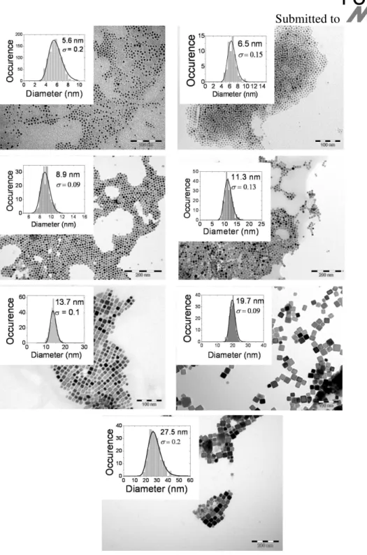 Figure 1. Transmission electron microscopy image of the different samples and 