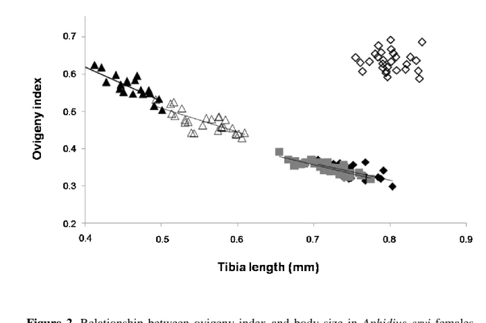 Figure  2.  Relationship  between  ovigeny  index  and  body  size  in  Aphidius  ervi  females  reared at five temperatures: 12°C (open diamonds, n=28), 16°C (filled diamonds, n=29),  20°C (grey squares, n=29), 24°C (open triangles, n=27) and 28°C (filled