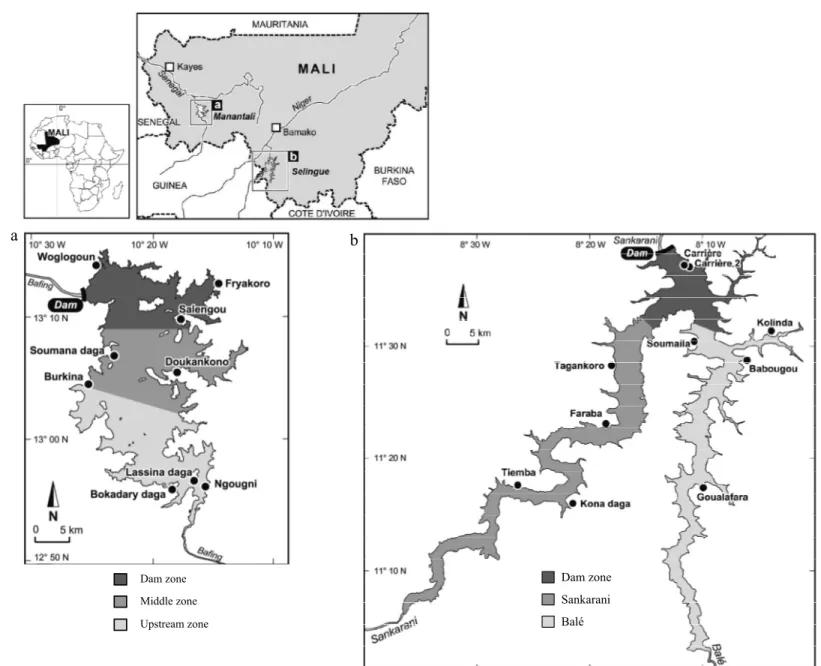 Figure 1. Dam zone Middle zone Upstream zonea b Dam zoneSankaraniBalé