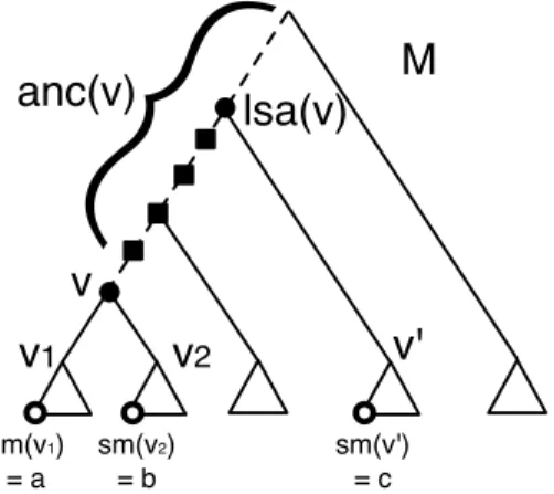 Fig. 2. The only triplet of R l wd (M ) associated to the speciation node v is ab|c, while the triplet set associated to v in R wd (M ) is composed by the triplets l x l y |l z of R(M ), where x ∈ L(M v 1 ), y ∈ L(M v 2 ) and z ∈ L(M ) such that lca(x, y, 