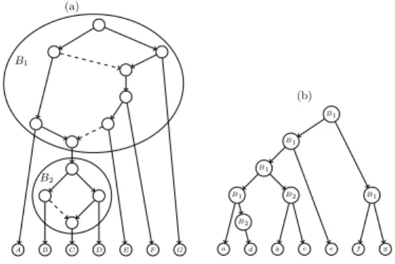 Figure 1: (a) The LGT network depicted in Fig. ?? with highlighted the two non trivial biconnected components B 1 and B 2 