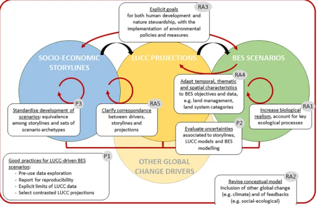 Fig. 1 Workflow from socioeconomic storylines to biodiversity scenarios and the associated land use change research agenda